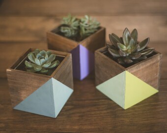 Painted Geometric Wood Planter Succulent Kit (MORE COLORS INSIDE); Natural Wood; Small Planter; Office Planter; Desk Accessory; Dorm