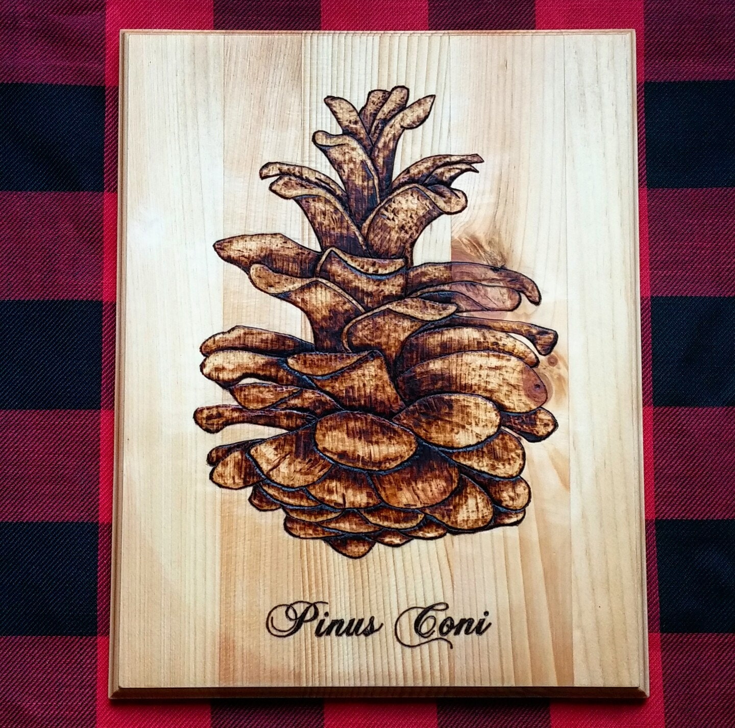 Pinus Coni Pine Cone Wood Burning by CanadianWednesday on Etsy