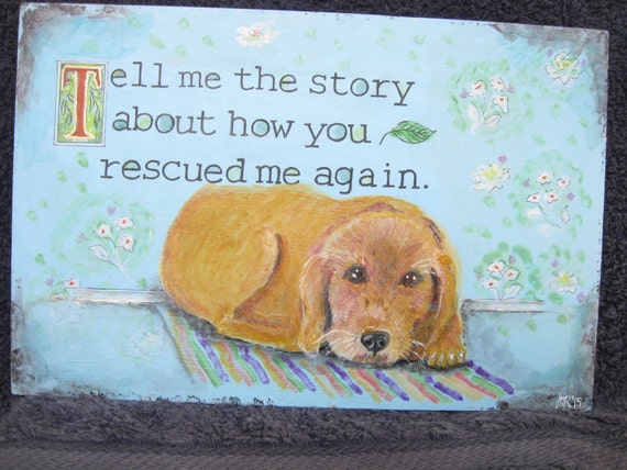 Rescue dog dogdog loveranimal rescuedog rescuedog