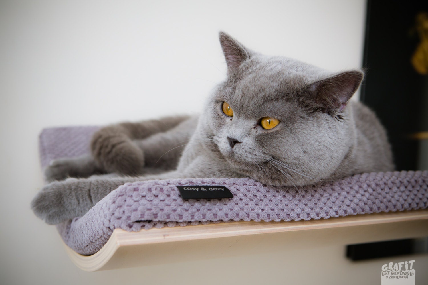 Curved perch cat bed cat shelves cat furniture by cosyanddozy