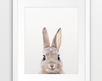 Rabbit Print, Woodland Nursery Decor, Rabbit Photo, Bunny Rabbit, Nursery Prints, Modern Animal Art, Woodland Animals, Nursery Printable Art