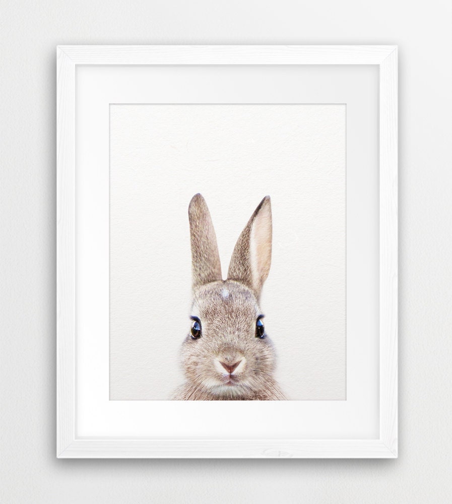 Rabbit Print Woodland Nursery Decor Rabbit Photo Bunny