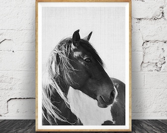 Horse Photo, Black and White Photography, Horse Print Wall Art, Icelandic Horse, Wilderness Print, Equestrian Art, Printable Art,