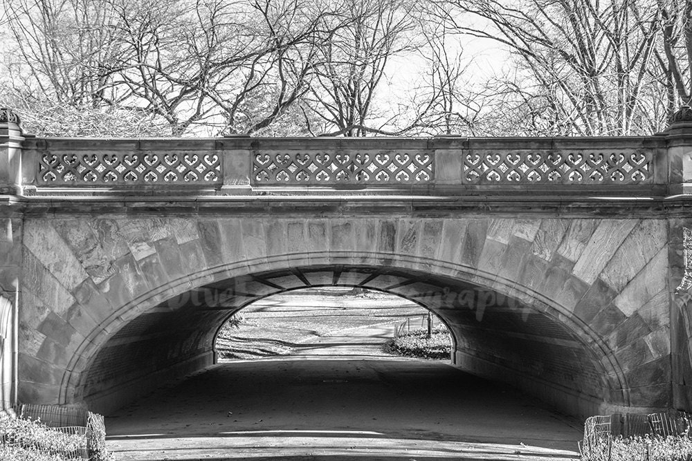 Central Park Photography Greyshot Arch Bridge Central Park