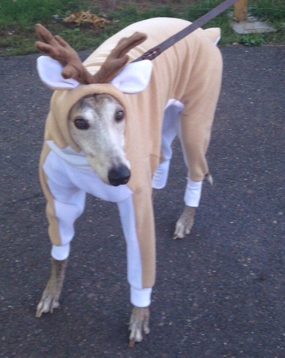 Greyhound Costume Reindeer custom sized