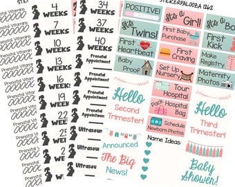 Pregnancy Planner Sticker Kit, Pregnancy Milestone Stickers, Pregnancy Stickers