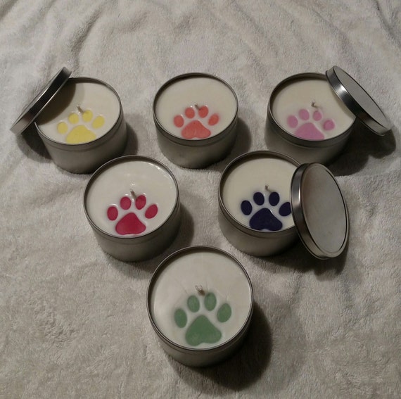 sand and paws candle