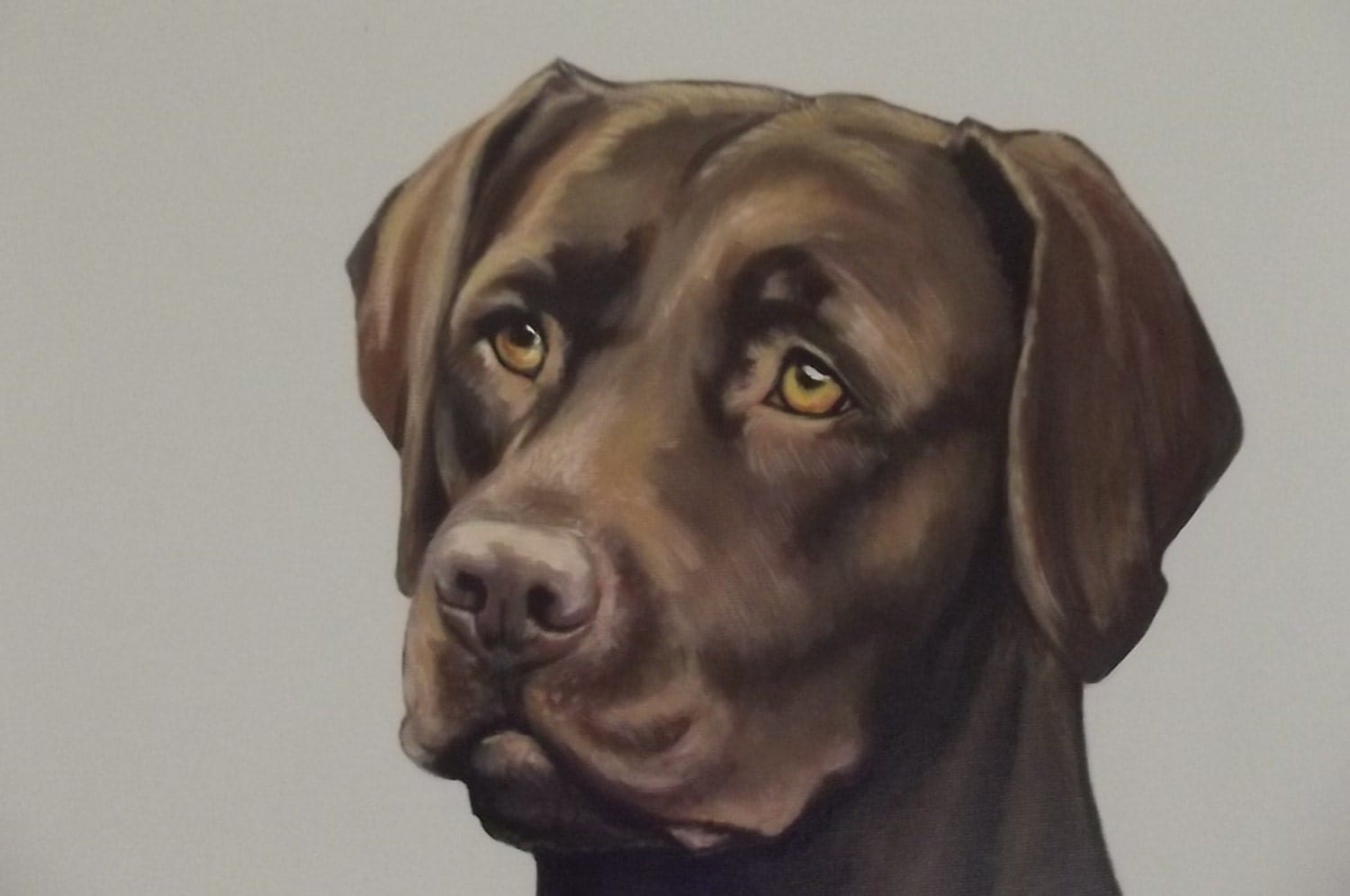 Chocolate Labrador painting.