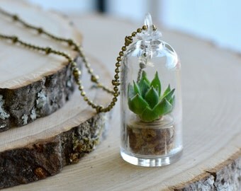 Real Rose Succulent Plant Necklace, Antique Bronze, Pendant Dome Terrarium Living Plant Charm Echeveria Crassulaceae Mini Garden