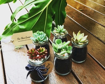 Succulents Wedding Favors Wedding Bombonieres