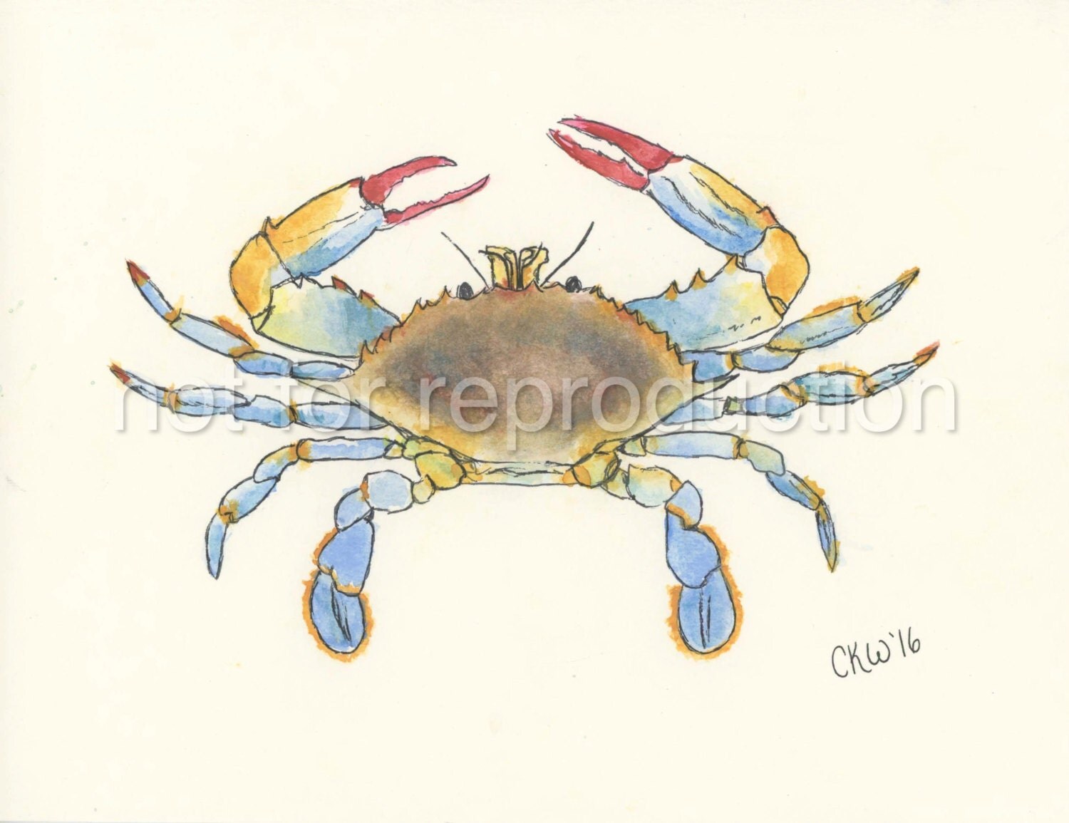 Maryland Blue Crab Print by HobbyHorseDesign on Etsy