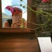 Claudia Respini
