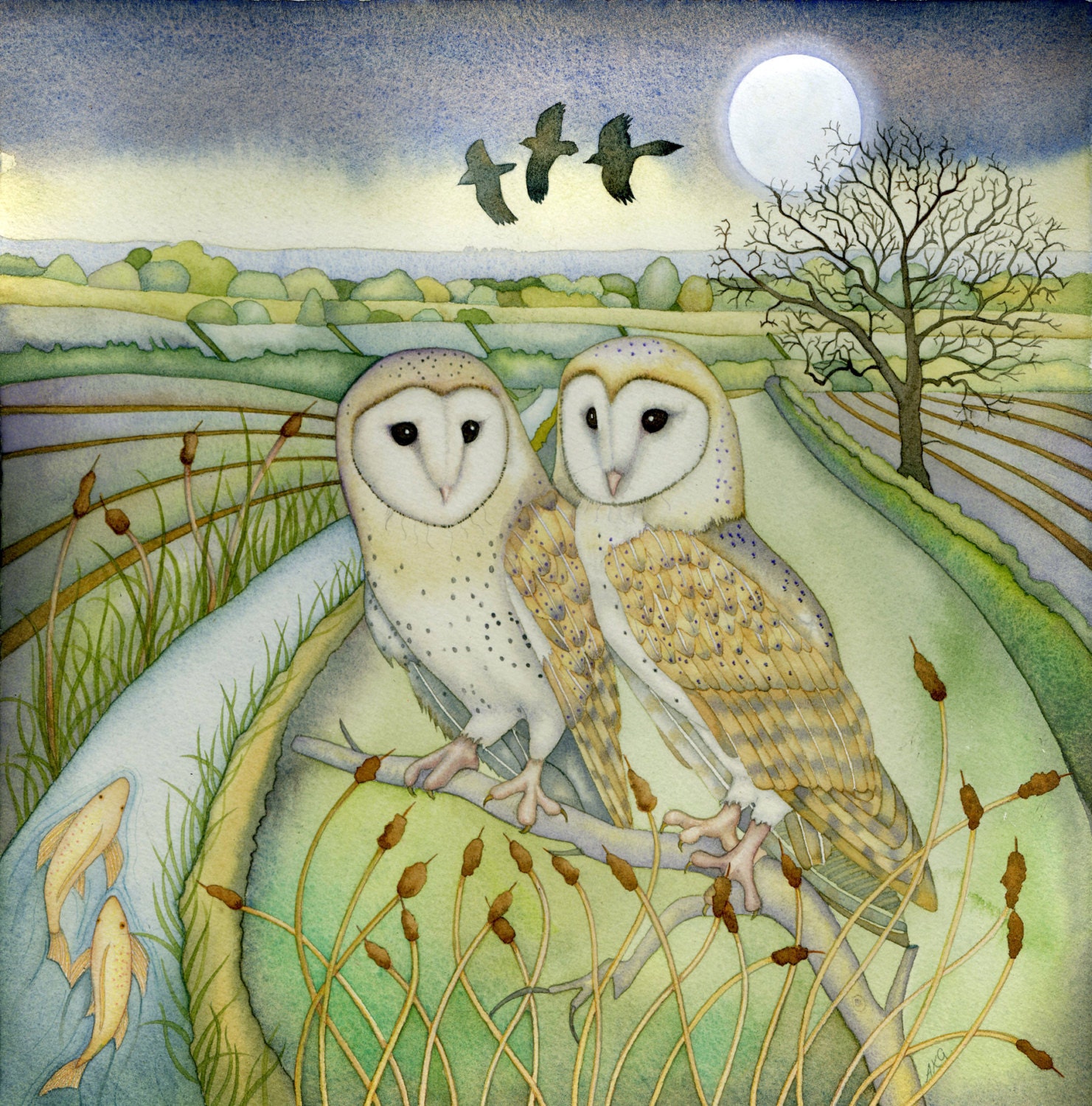 Barn Owls Giclee print.
