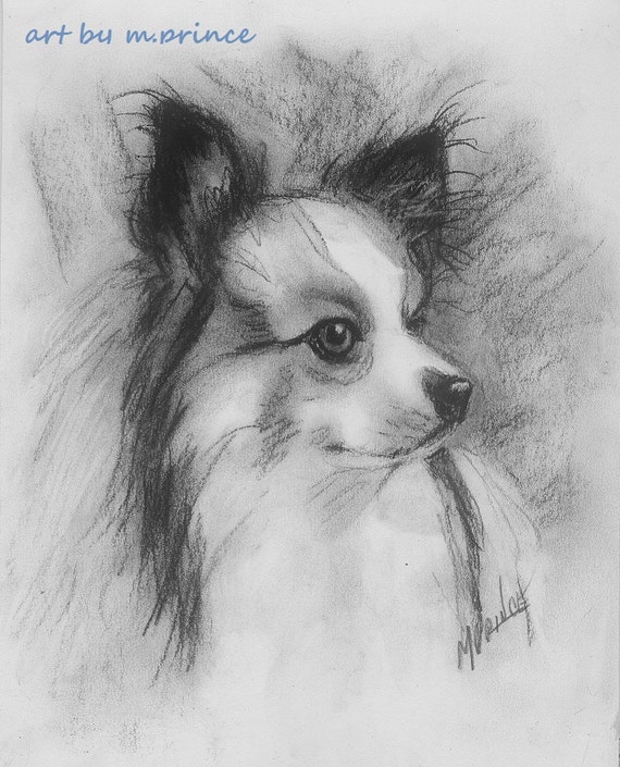 Papillon Dog Charcoal Drawing Fine Art Pencil Sketch Hand