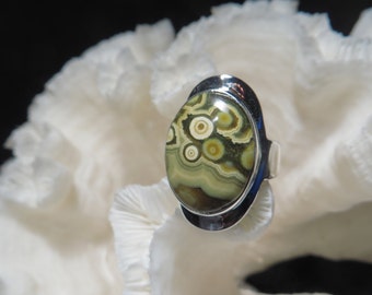 Beautiful Ocean Jasper Ring Size 7.5