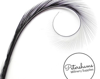 Burnt & Curled and Dyed Pheasant Quill Feather for Millinery, Hat Making Single Feather - Black