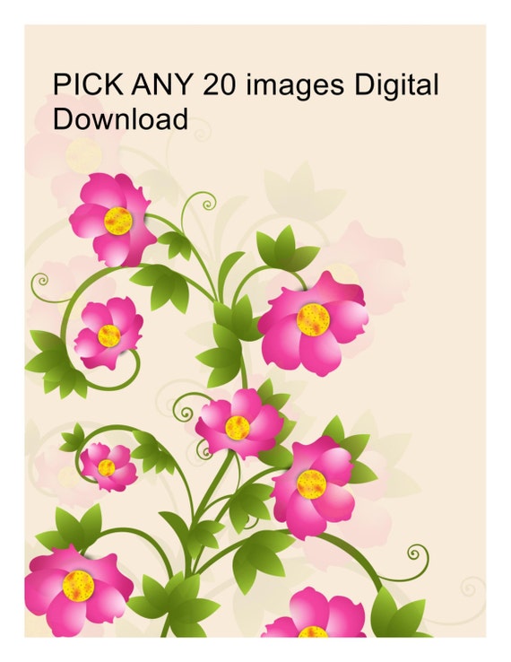 Pick the flower — Stock Photo © kee_zaa #31011411