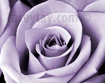 Purple Flower Photography, Paris Print, Rose, Macro Flower, Shabby Chic Flower Photo, Mauve, Romantic