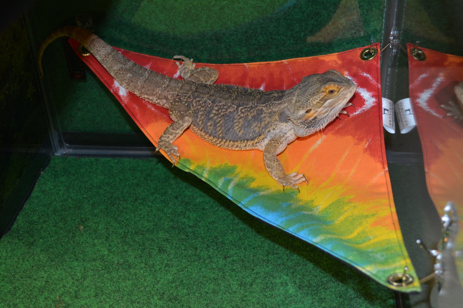 Bearded Dragon Hammock 15x15x21 Lounge Bed larger size