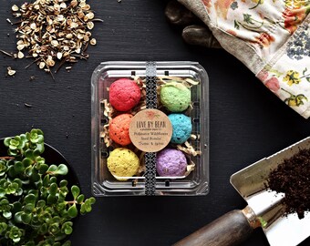 Organic Beeline Pollinator Wildflower Rainbow Seed Bomb-North American Native-Garden Gift-Bird-Butterfly-Gift for Teacher