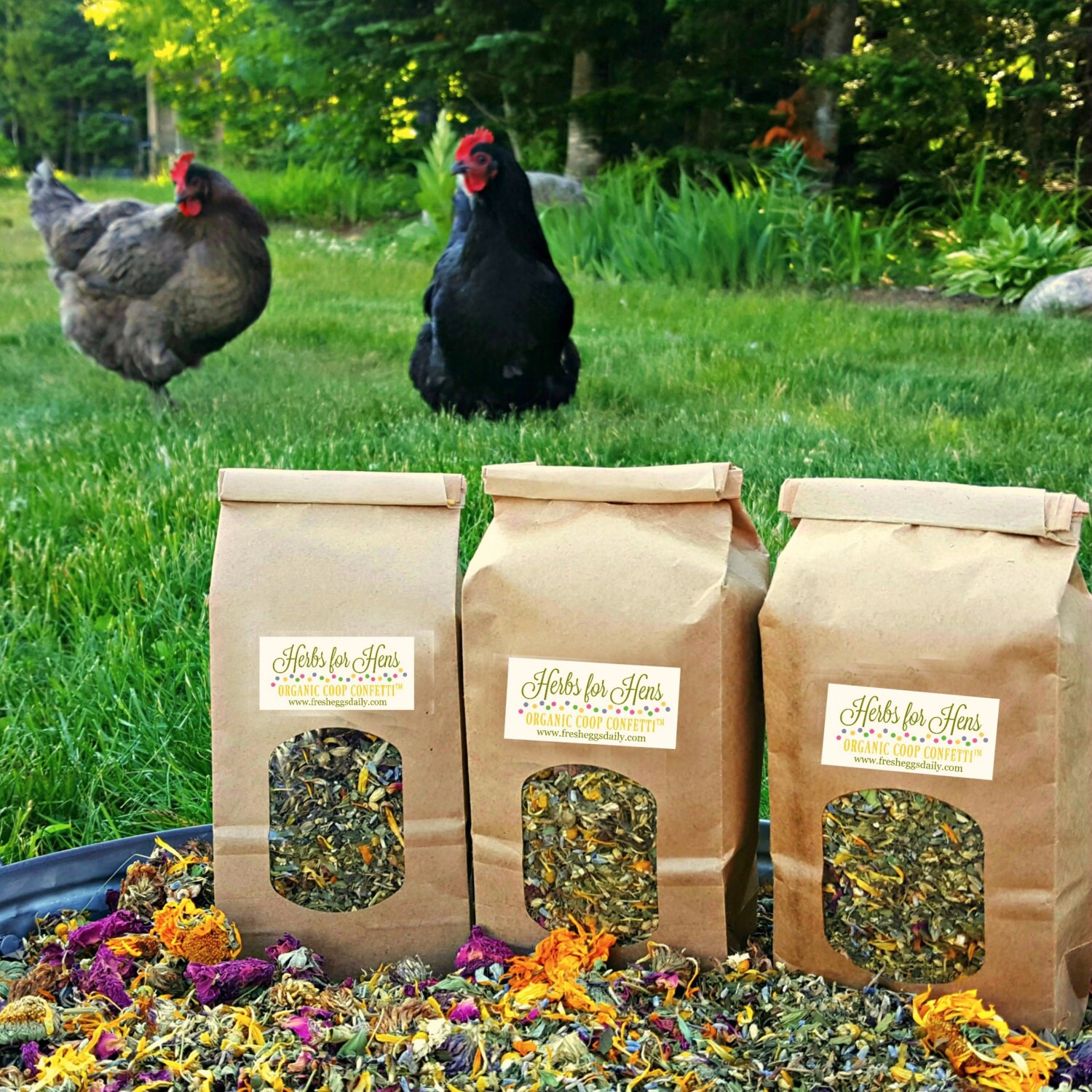 Herbs for Hens COOP CONFETTI™ Chicken Nesting by FreshEggsDaily