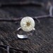 Real flower ring - resin ring with real white dried flowers - beautiful nature jewelry