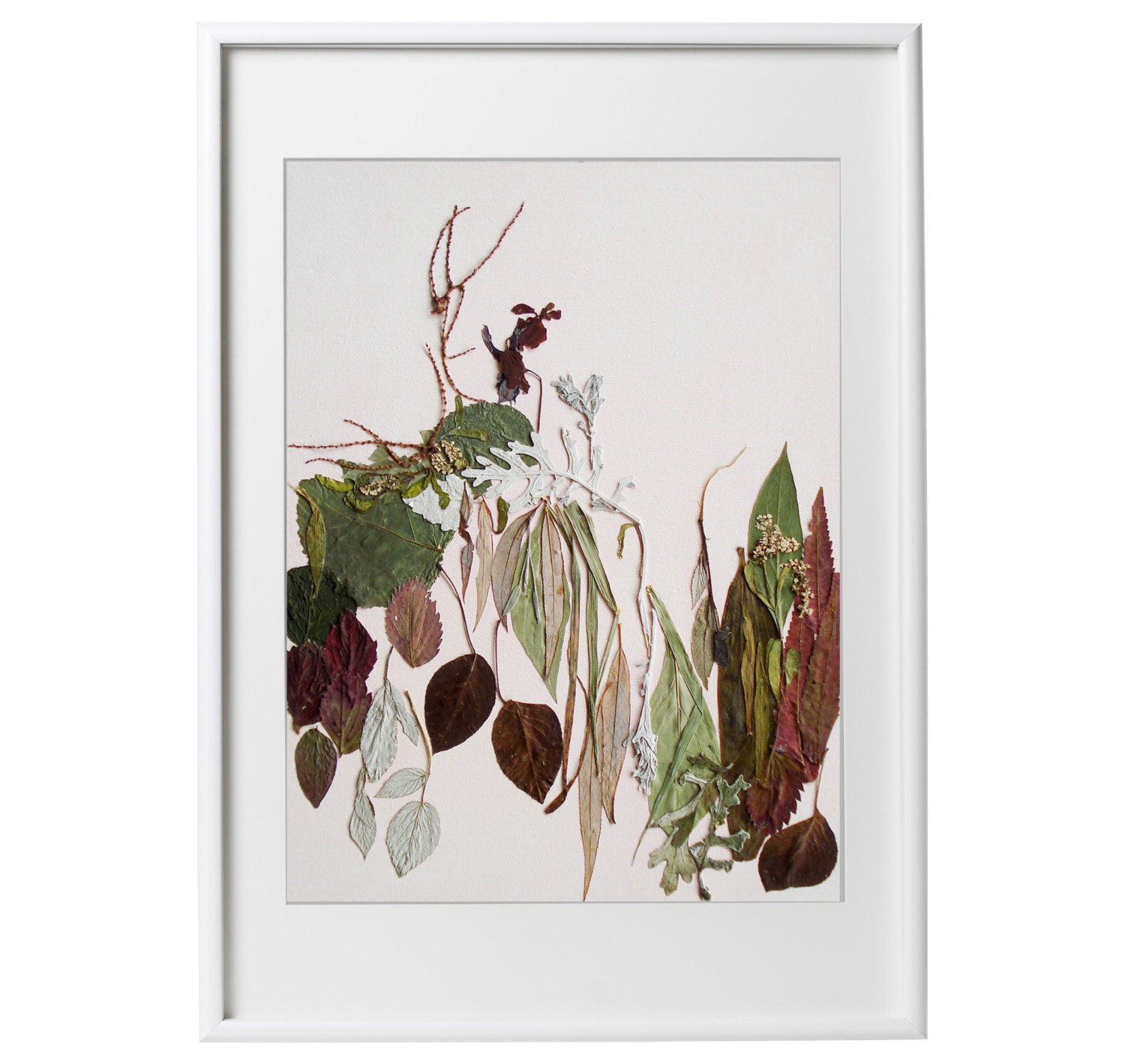 Botanical art Dried flowers Flower illustration by FloralCollage