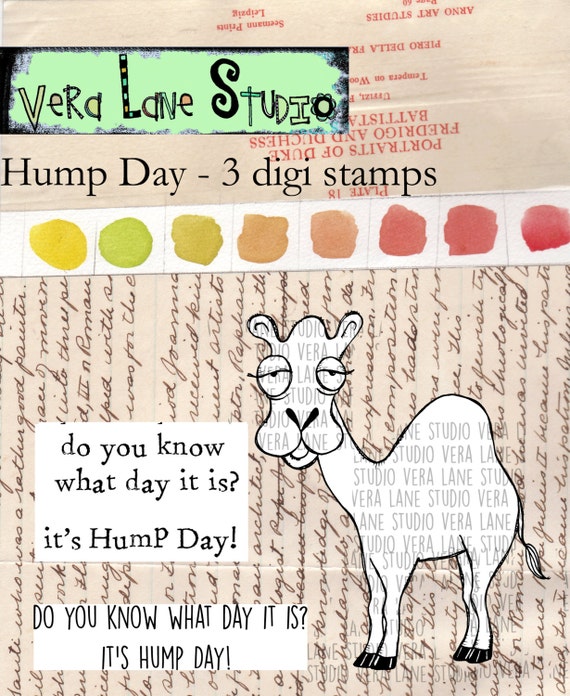 Hump Day - quirky camel digi stamp with sentiments