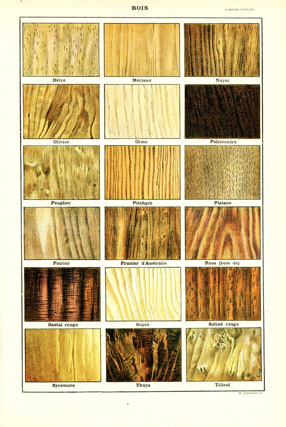 1948 Precious wood poster Wood grain types Vintage woodworking