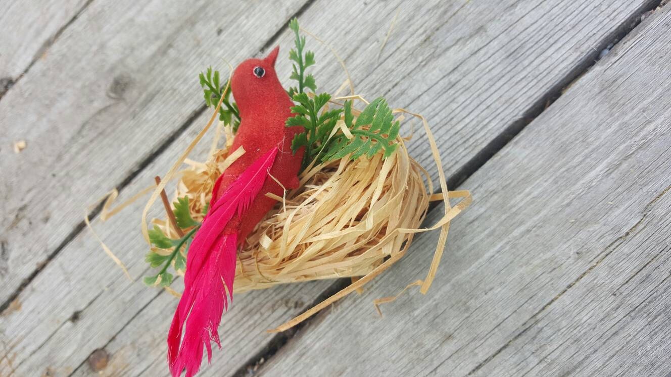 Red Bird Nest Geocache free shipping by TheRecycledGreenRose
