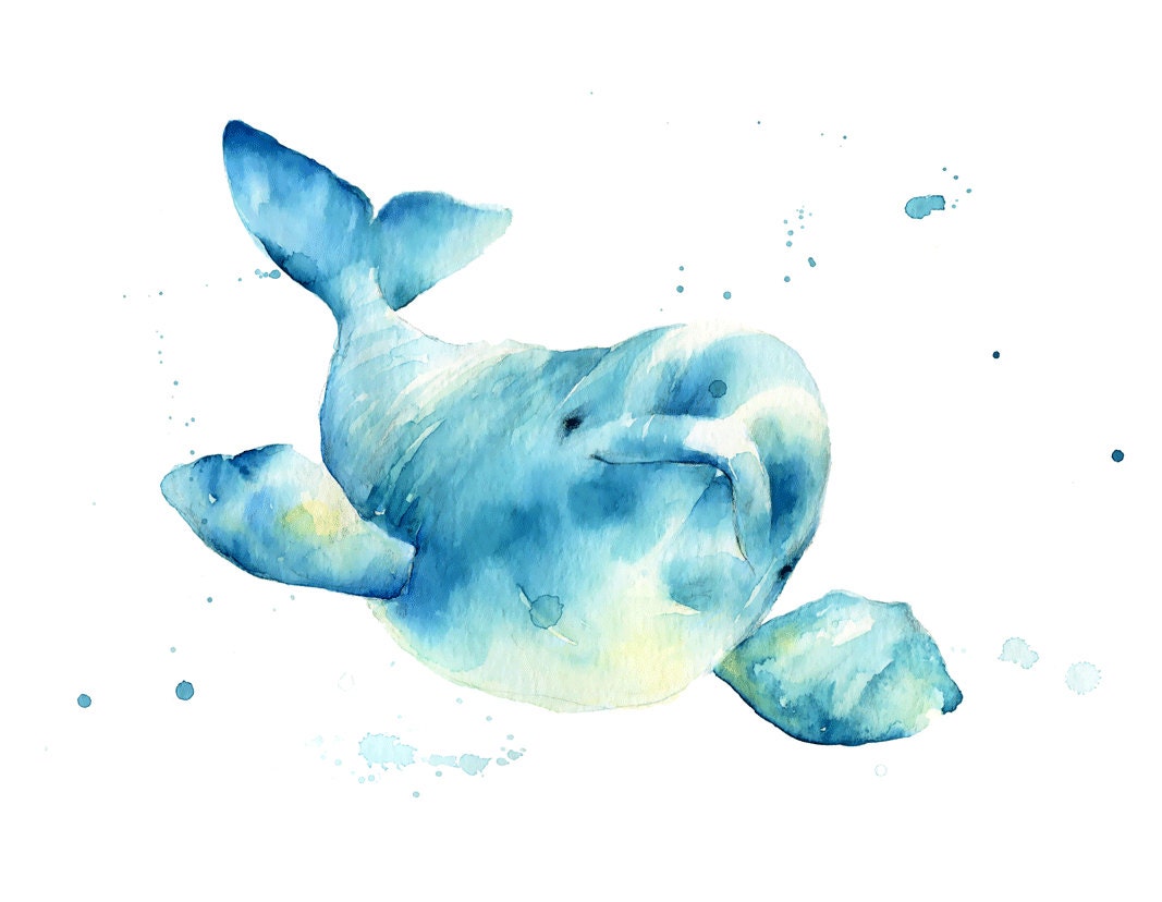 beluga whale watercolor print whale art whale bay shower beluga whale watercolor print whale art whale bay shower