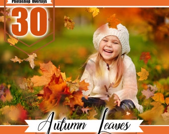 30 falling leaves photoshop overlays, autumn overlay, autumn leaves, fall overlays, wedding baby photo, realistic effect, PNG files
