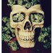 yourlocalstonerr