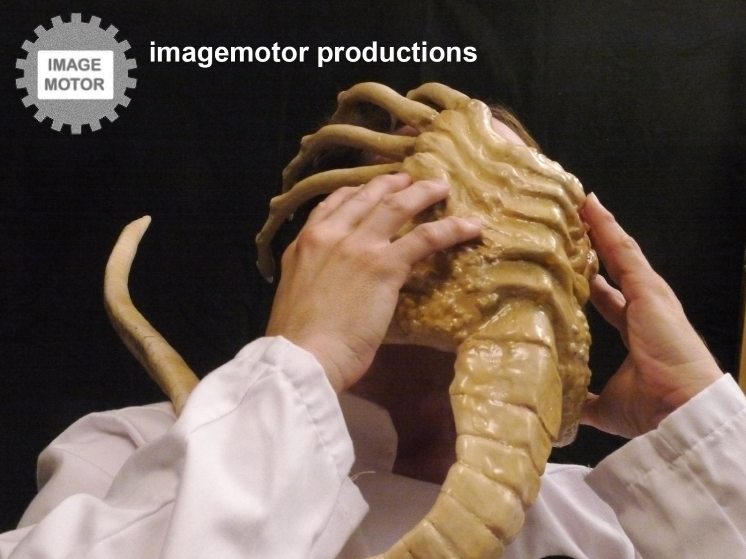 Life size 11 scale Alien facehugger prop replica