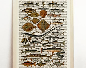 Poissons Fishes Poster Sea Life Diagram Chart Beach Seaside Marine Nautical Illustration Nature Print Upcycled Decor Art Book Dictionary
