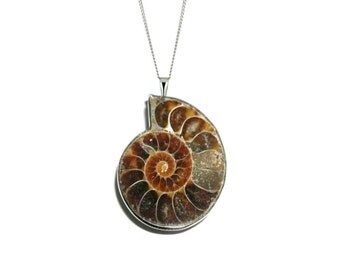 Ammonite Necklace, Fossil Necklace, Gift For Teenager, Snail Necklace, Teenager Jewelry, Silver Chain, Jurassic Jewelry, Archaeologist Gift
