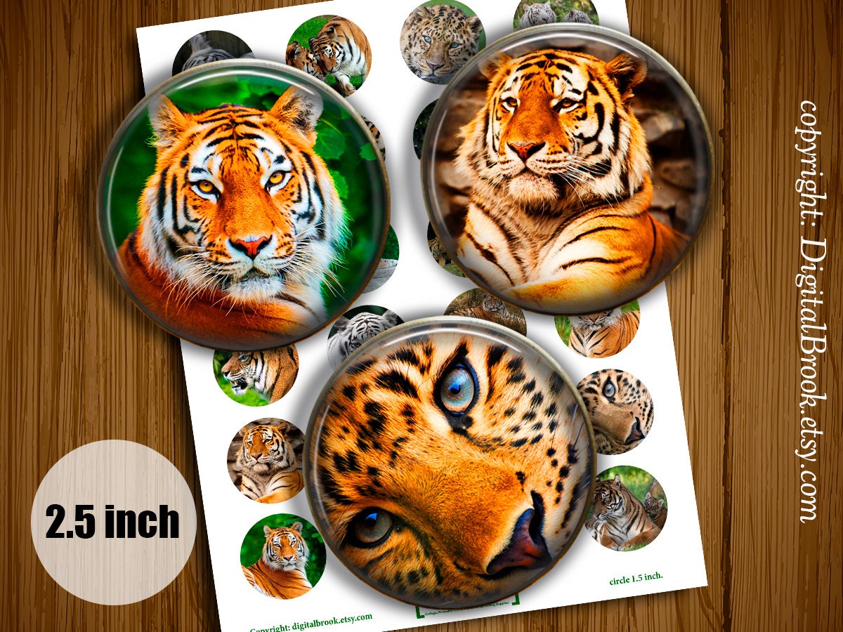Digital Collage Sheet Tigers 2.5inch Printable by DigitalBrook