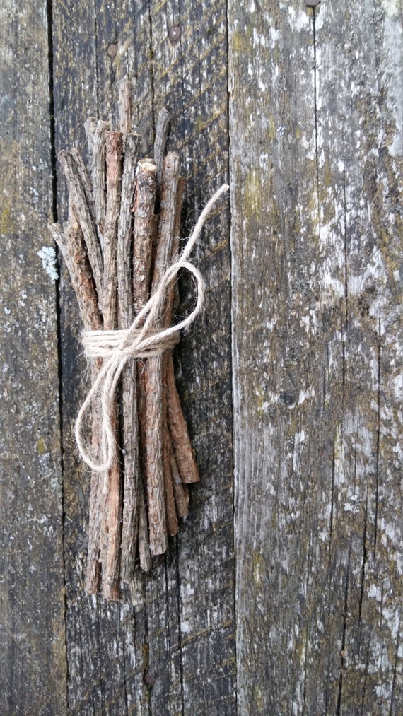 natural pine tree sticks wooden twigs wood branches by goodieshill