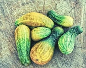 Kitchen Art Photography,Vegetable Photography,Cucumber Art Photo,Food Art Photo,Autumn photography,Rustic Fall Colors,Green Photo,Vegggie Kitchen Art Photography,Vegetable Photography,Cucumber Art Photo,Food Art Photo,Autumn photography,Rustic Fall Colors,Green Photo,Vegggie