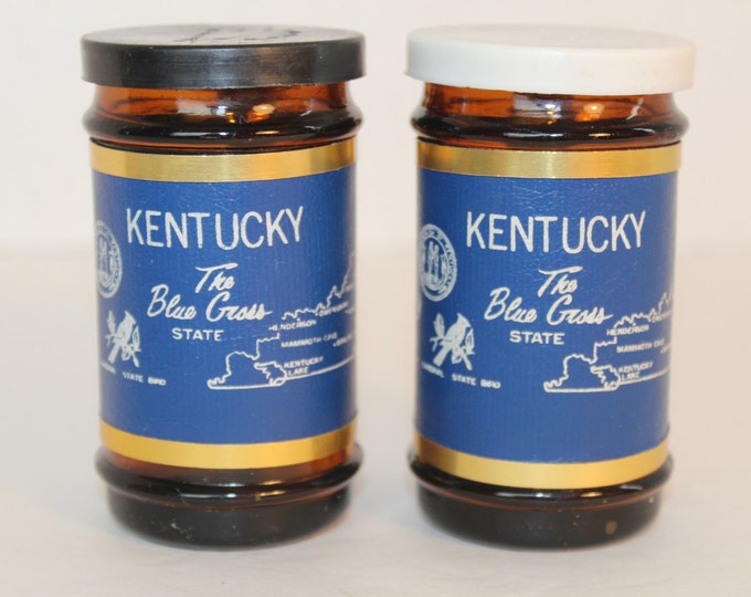 Vintage Kentucky Souvenir Salt and Pepper Shakers