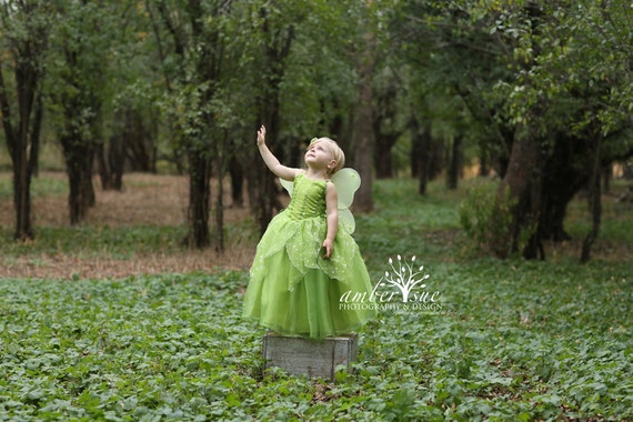 Tinkerbell Fairy dress for Birthday costume or Photo shoot Tinkerbell dress outfit Birthday dress costume Princess dress for Birthday party Il_570xn
