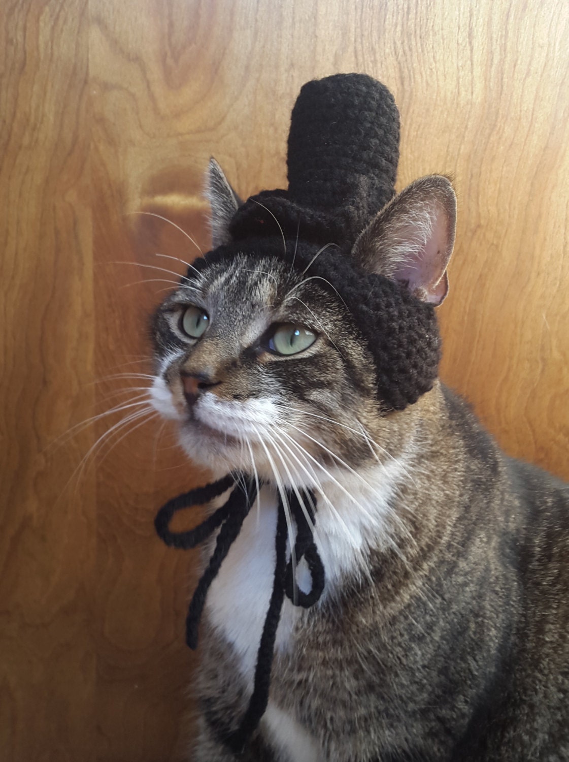 Cat Top Hat knit hat for cat