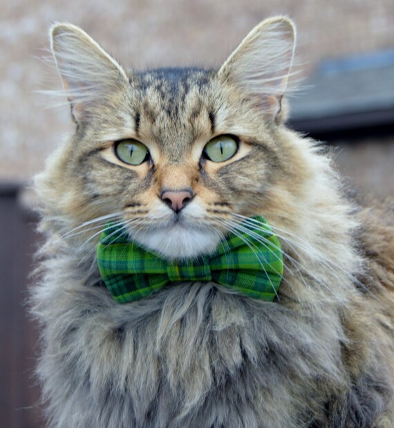 Green plaid cat bow tie collar Plaid cat collar by BellaLovesAlex
