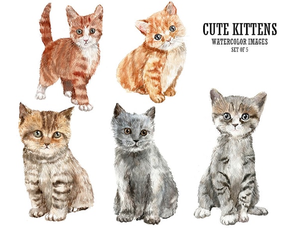 Download Cute kittens clipart Cat clip art Watercolor clipart