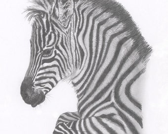 Zebra drawing | Etsy