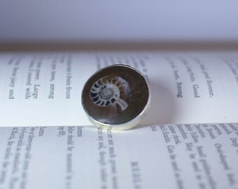 Ammonite ring, fossil ring, unique ring, size K ring