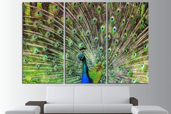 Large Peacock Canvas Print Wall Art Peacock Wall Art Peacock