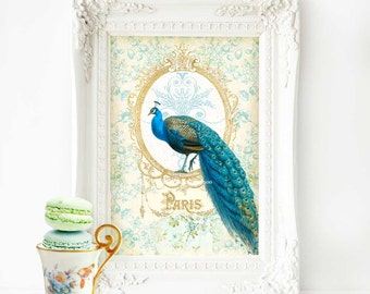 Peacock print, art nouveau, French art print, Paris, vintage peacock illustration, A4 giclee