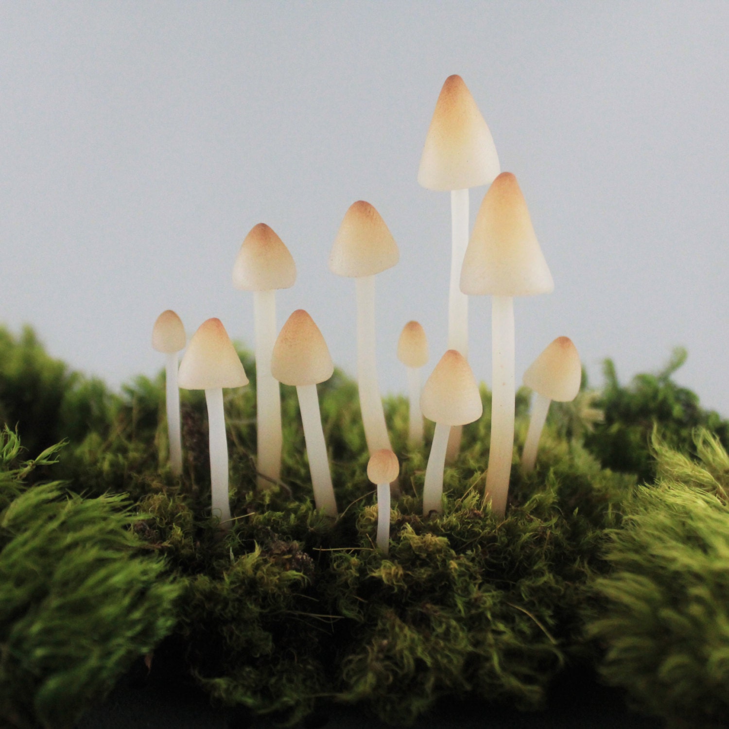 Terrarium FigurinesRealistic Translucent Mushroom Terrarium