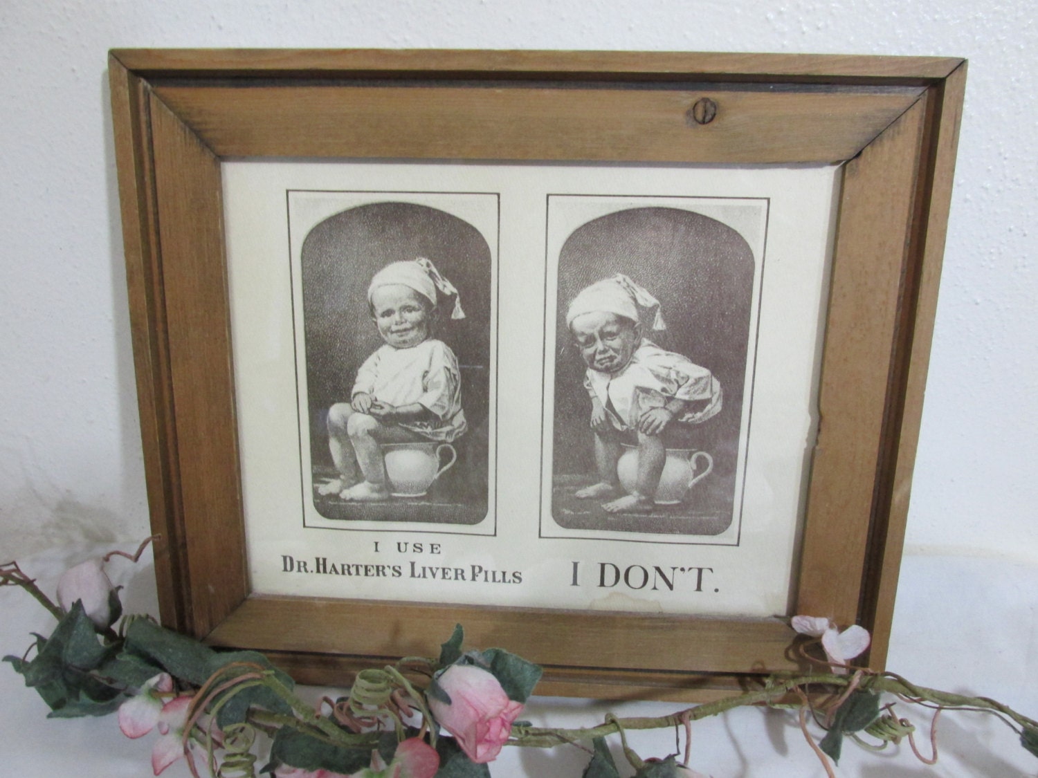 Bathroom Picture Framed Humorous Print Advertising Pills Take